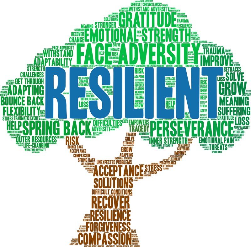 Building Unshakeable Resilience from Adversity Forges Inner Strength